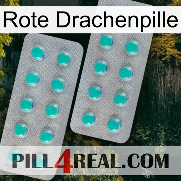 Red Dragon Pill 29.jpg